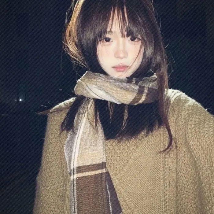 烽火雁翎